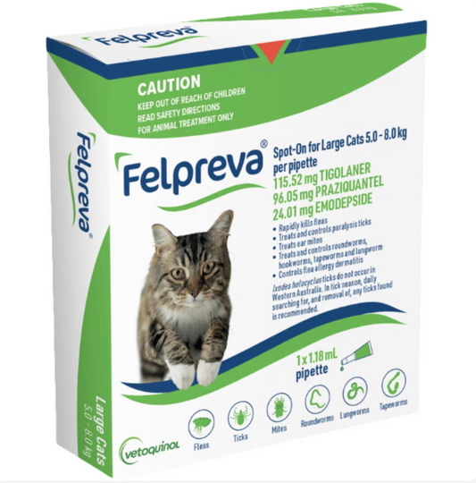 Felpreva Large Cats 5-8kg Spot-On