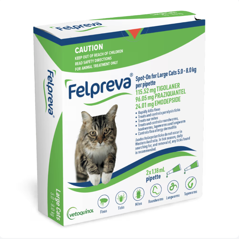 Felpreva Large Cats 5-8kg Spot-On