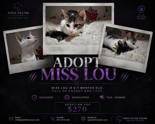 Miss Lou